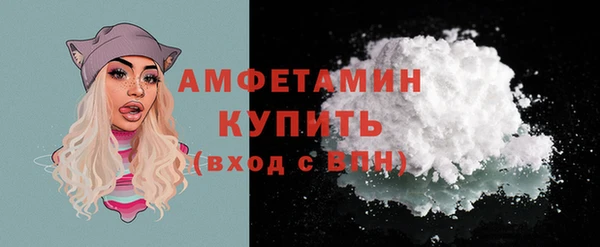 МДПВ Бородино