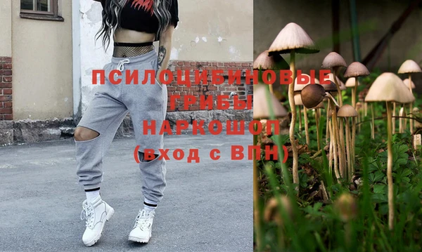 МДПВ Бородино