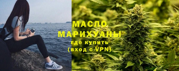 МДПВ Бородино