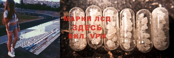 спайс Ладушкин