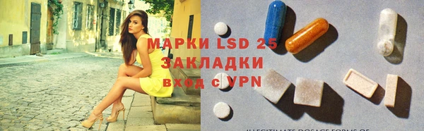 МДПВ Бородино