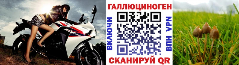 Галлюциногенные грибы Cubensis  Северск 