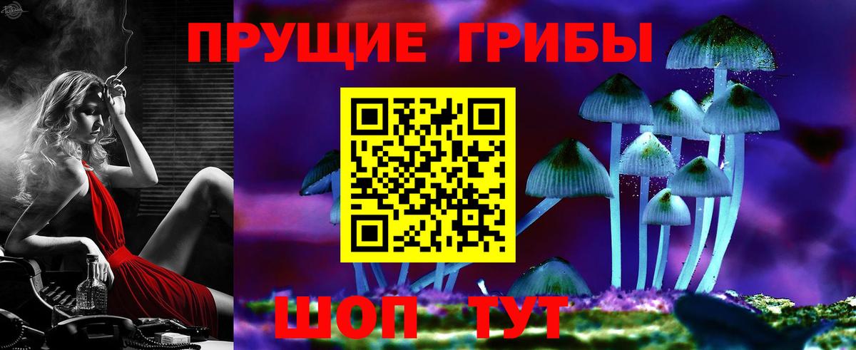 Галлюциногенные грибы MAGIC MUSHROOMS Северск