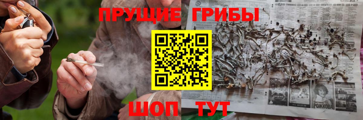 Северск  Псилоцибиновые грибы GOLDEN TEACHER  Вход с VPN  Псилоцибиновые грибы ЛСД 