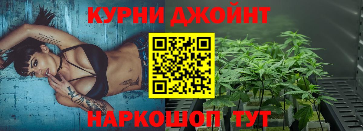 Конопля семена Северск